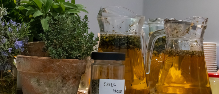 20260417 II. Ciszterci Egészségnap