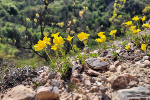Április 22. A Föld Napja.
